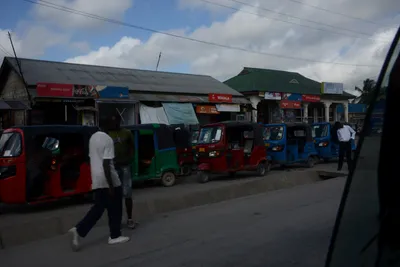 DSC_7528 (Large).JPG